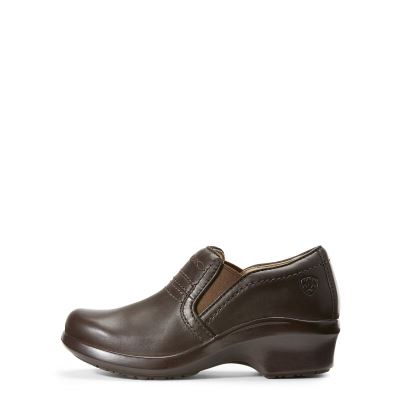 Ariat Expert SD - Klompen Schoenen DonkerBruin Dames - 33932-453